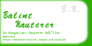 balint mauterer business card